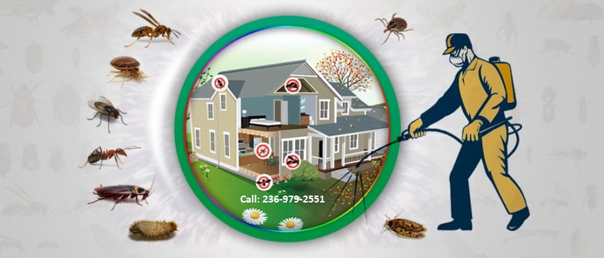 Pest Control Richmond, Mice, Fleas, Cockroach Pest Removal Richmond