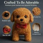 WalterJEssary WalterJEssary