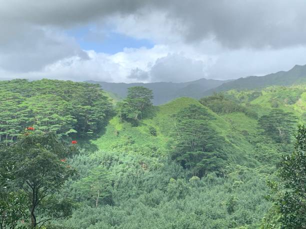 Experience Supreme Hospitality At Best Homestay In Sakleshpur | Author Mocha Retreat | Sociomix