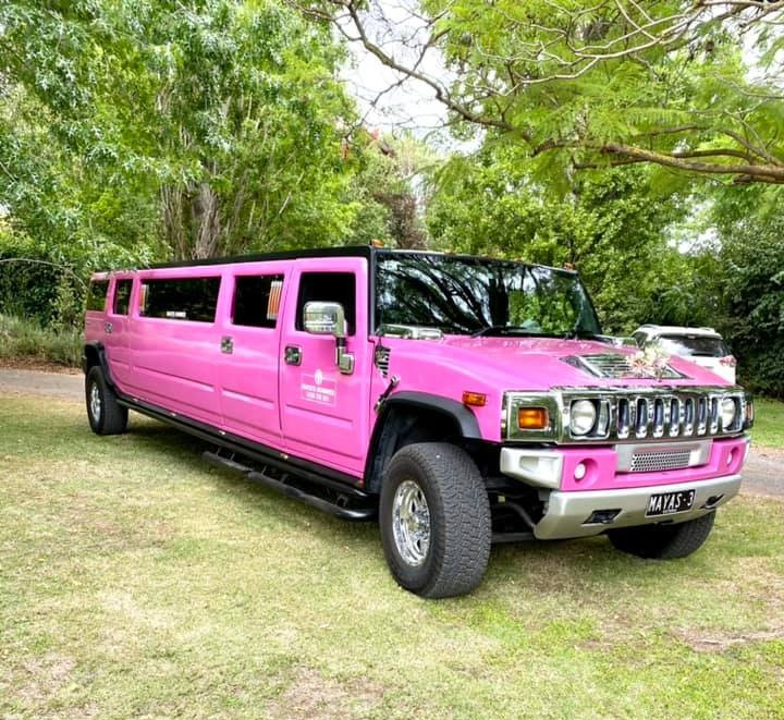Where to Find the Most Stylish Pink Party Hummers