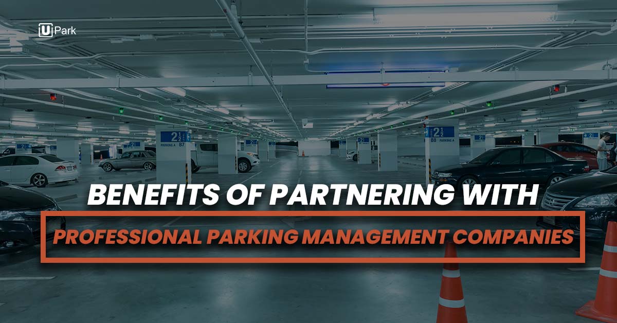 Why Partner with Professional Parking Management Companies
