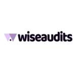 Wise Audits