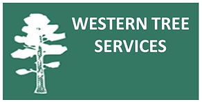Tree Removal & Stump Grinding North Vancouver BC