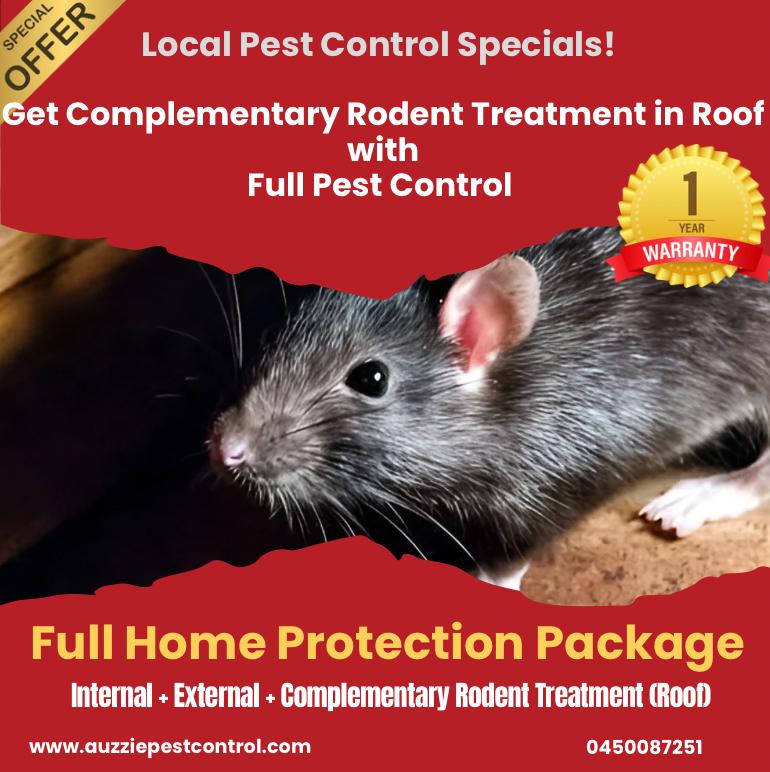 Pest Control Services in Spiders