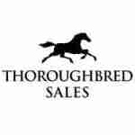 Thoroughbred Sales