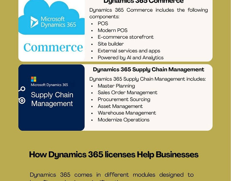 Local Dynamics 365 Partner