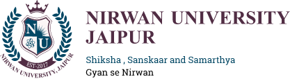 Best Private University in Jaipur : Nirwan University