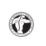 cantongeorgiachiropractor