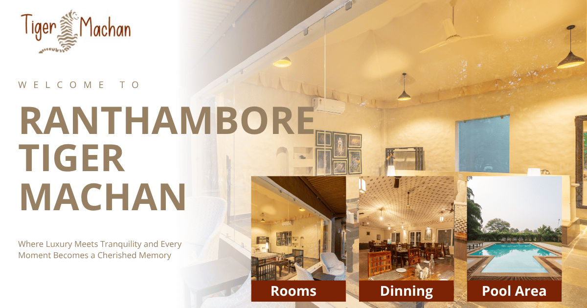 Ranthambore Resorts | Resort in Ranthambore | Tiger Machan