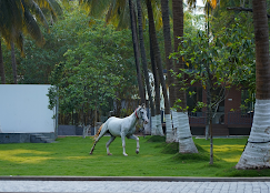 Best Resorts in Coimbatore with Activities: Discover the Most Couple Friendly Resorts in Coimbatore