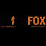 ClickFox Digital
