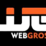 Web Gross