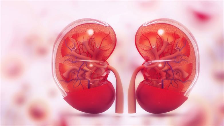 Dr. Ritesh Mongha – Best Kidney Transplant Specialist in Faridabad