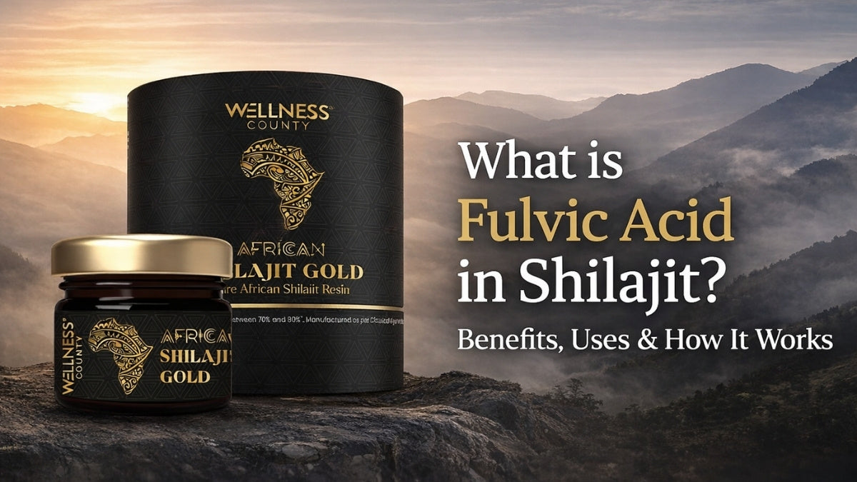 What is Fulvic Acid in Shilajit? Benefits, Uses Explained  – Wellness County