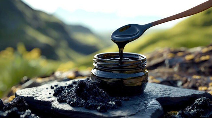 Himalayan Shilajit Benefits, Uses & Side Effects Guide  – Wellness County
