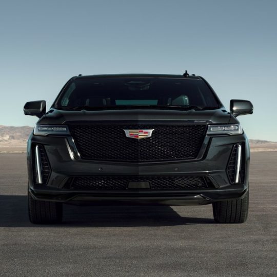 Flights to Sydney from Auckland: When to Book, What to Pay & How to Save - The Book Traveller