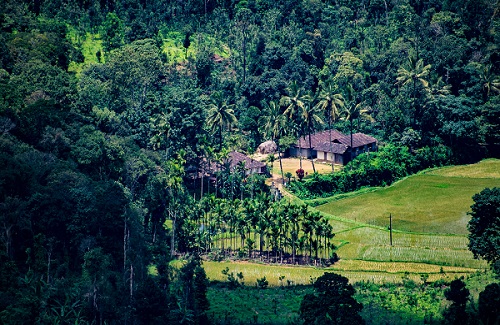 Hyderabad to Coorg cab taxi Service at ₹10400| SoloCabs