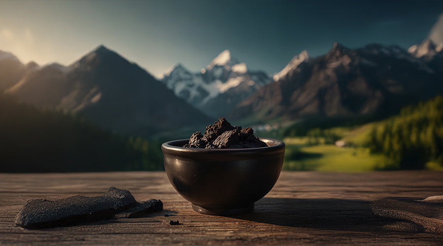 What Is Shilajit? Complete Guide to Nature’s Potent Resin  – Wellness County