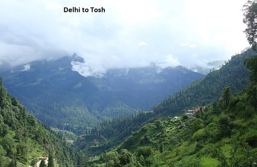 Delhi to Tosh Cabs Taxi Service At ₹6200 | Solocabs