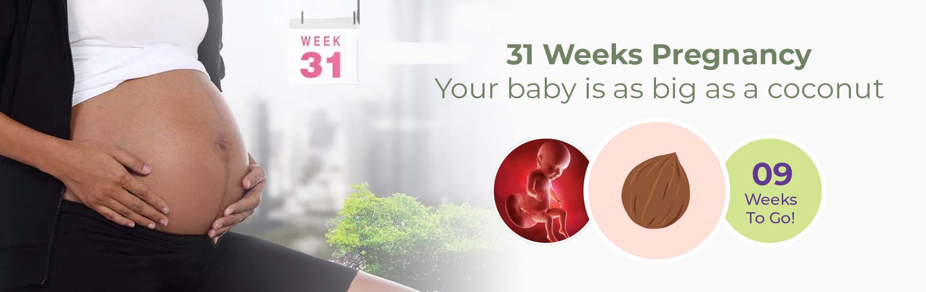 31 Weeks Pregnant: Key Takeaways & What To Expect