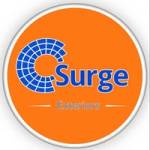 Surge Exterior Roofing