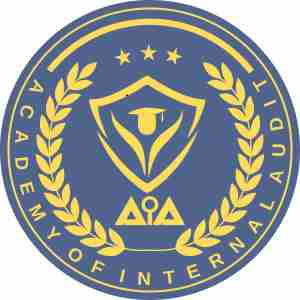 Academy of internal audit