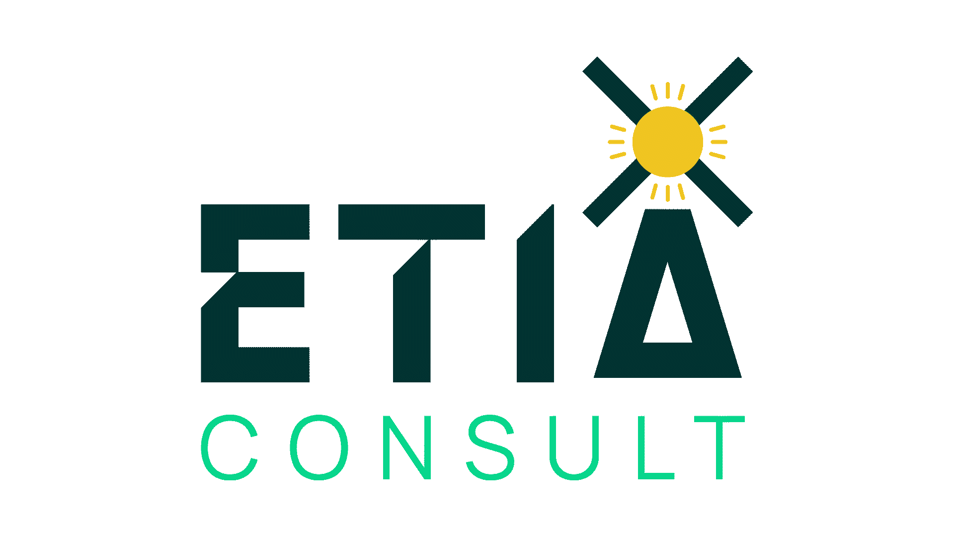 #1 Best Risk Management Services | ETIAConsult Netherlands