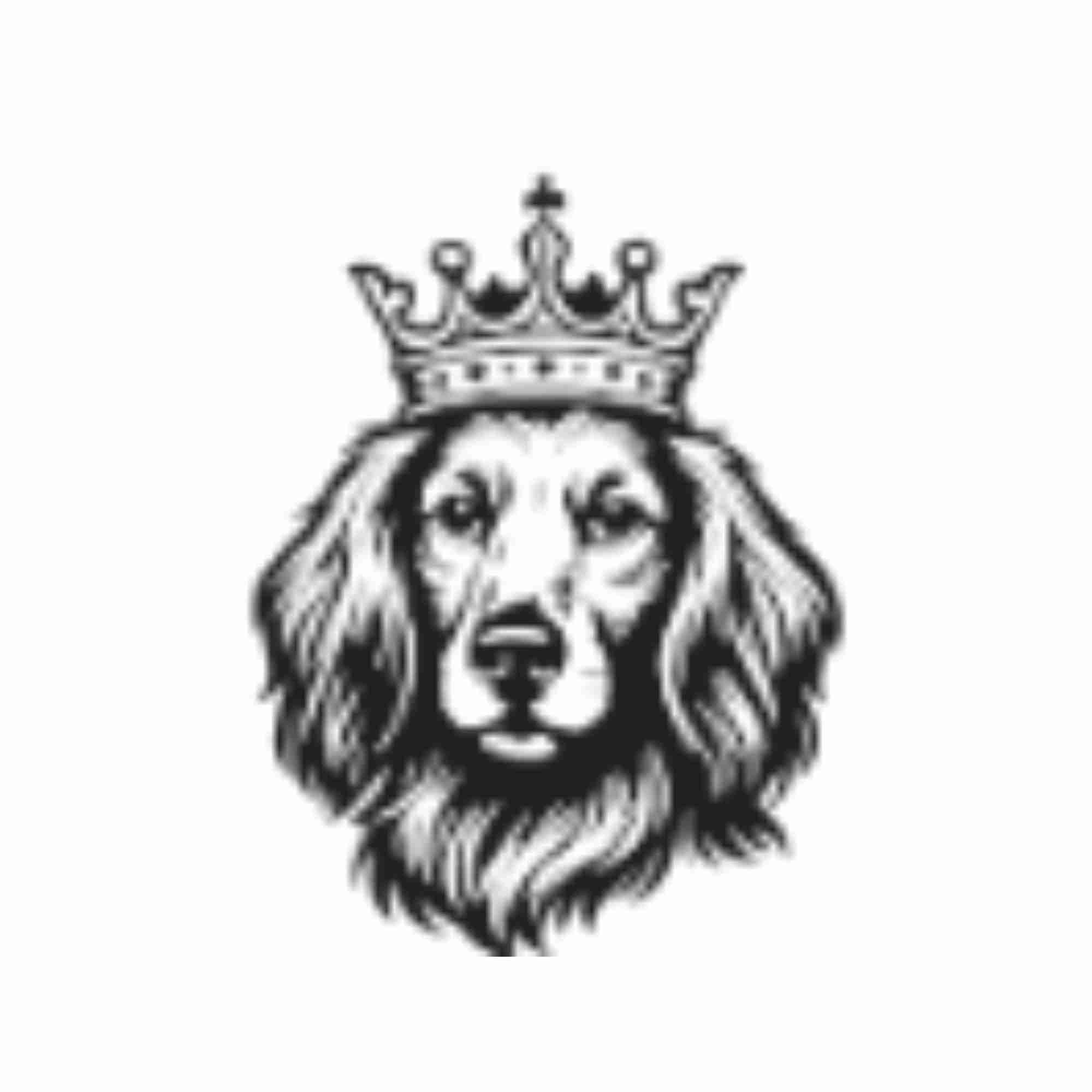 Tudor Energy LLC
