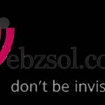 SEO Experts Webzsol
