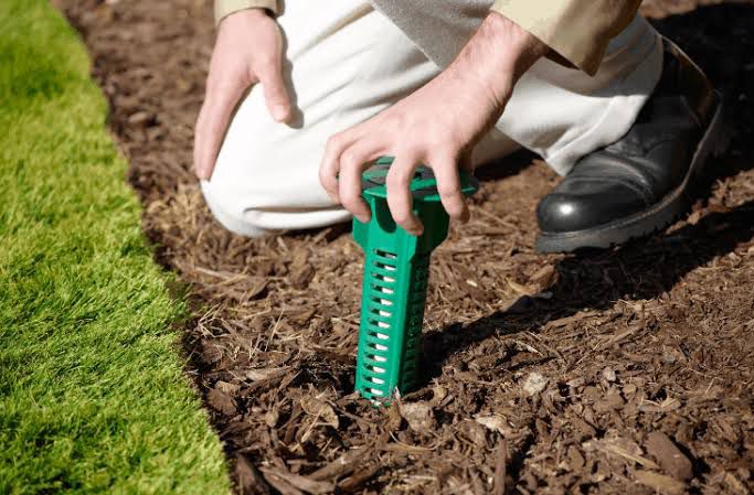 Termite Treatment Brisbane | Expert Termite Control Services