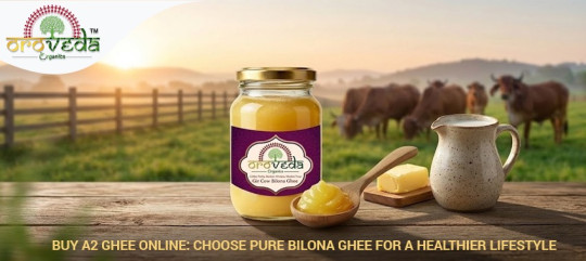 Buy A2 Ghee Online | Pure A2 Gir Cow Bilona Ghee Guide