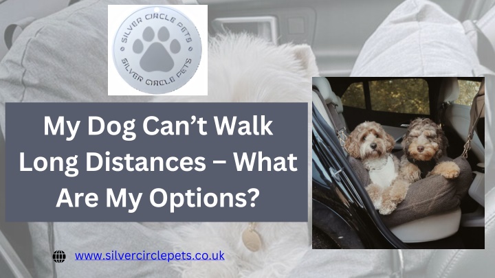 PPT - My Dog Can’t Walk Long Distances – What Are My Options? PowerPoint Presentation - ID:14822065