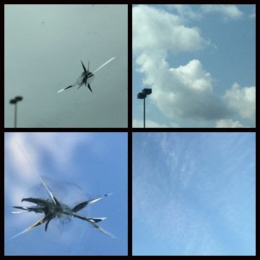 Windshield Chip Repair Edmonton: Protect Your Vehicle with Expert Care
