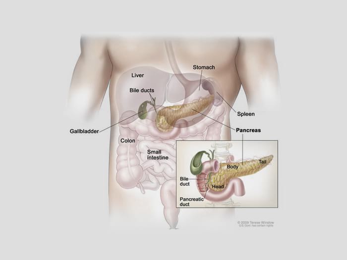 Anal Fistula Treatment in Chennai | Dr. Kumargurubaran