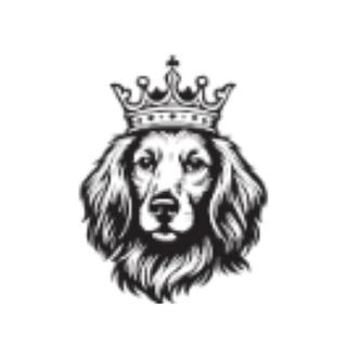 Tudor Energy LLC - Craftisian