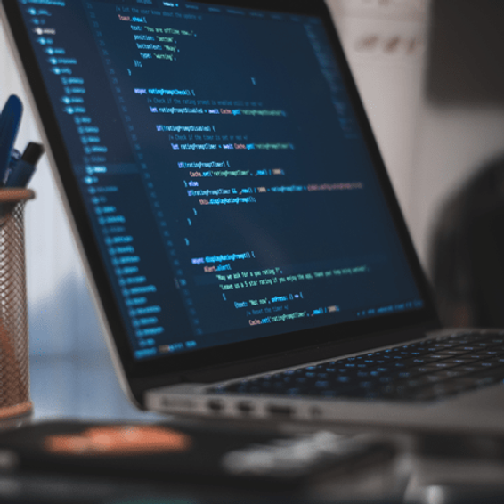 How to Choose the Right Software Development Service: What to Look For