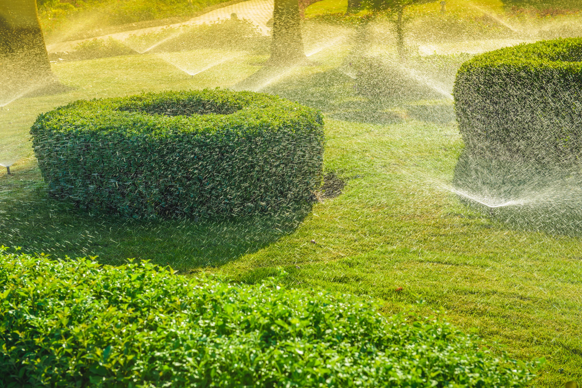 Sprinkler System Installation Jefferson GA, Irrigation Design & Repair North Georgia