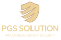 Security Consulting Services | PGS Solution