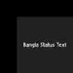 Bangla Status Text