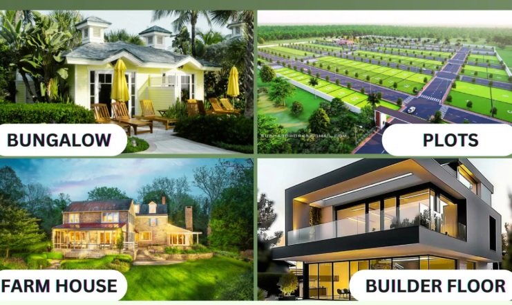 Plots in Jhajjar for Sale: Prices & Land Records