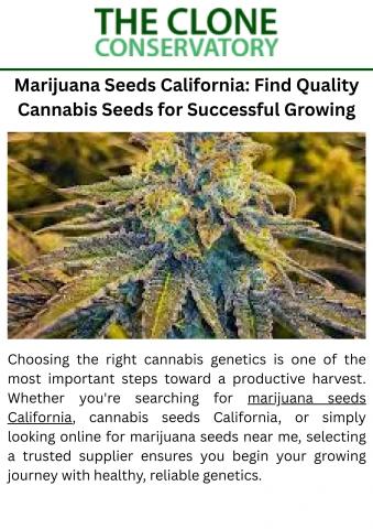 Marijuana Seeds California Find Quality Cannabis Seeds for Successful Growing