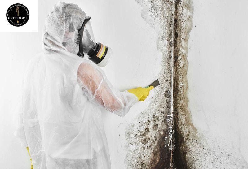 Professional Mold Removal Demorest GA – Keep Your Home and Business Safe from Harmful Mold