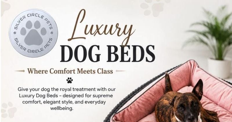 Luxury Dog Beds