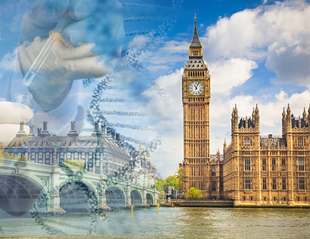 Fast & Approved DNA Test for UK Immigration