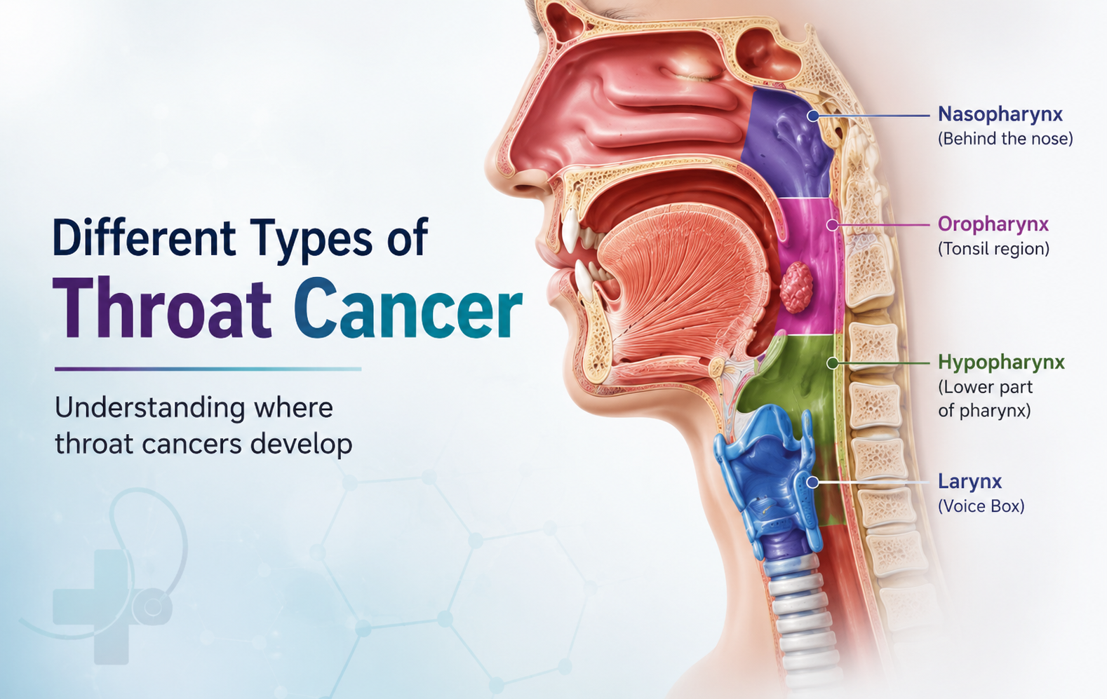 Different Types of Throat Cancer: Pharynx, Larynx, Tonsil & More - Dr. Dushyant Mandlik