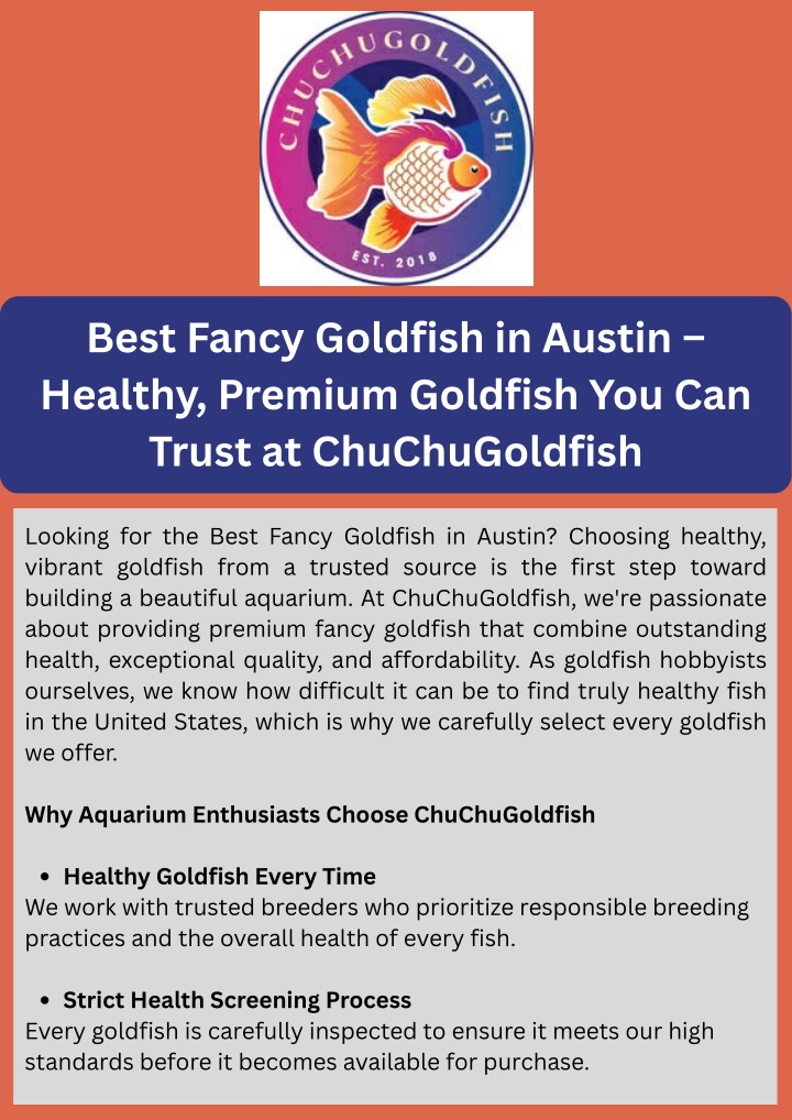 PPT - Best Fancy Goldfish in Austin – Healthy, Premium Goldfish You Can Trust at ChuChuGoldfish PowerPoint Presentation - ID:14885006