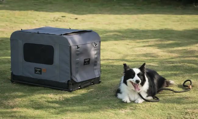 How to Choose the Right FikaGO Pet Carrier for Your Dog or Cat – Animal Stroller
