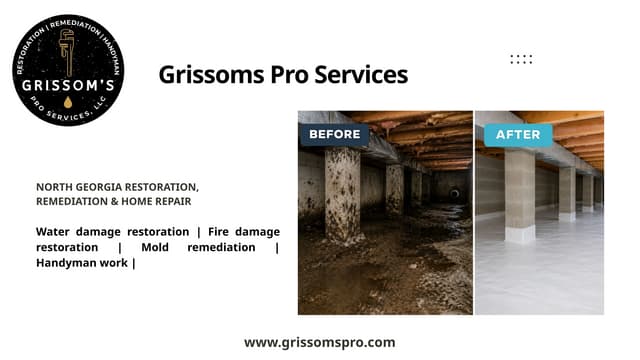 Commercial Mold Remediation Demorest GA – Protect Your Business with Professional Mold Removal. | PPTX