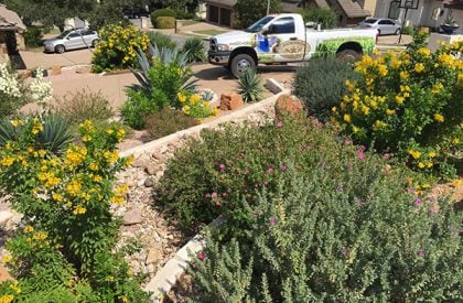 Xeriscape Landscaping Experts | Xeriscape Services Austin TX