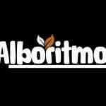 Alboritmo LLC